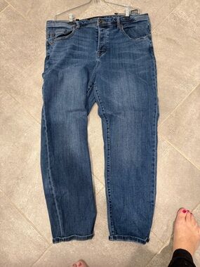 Lane Bryant Men's Straight Jeans in Dark Blue Wash